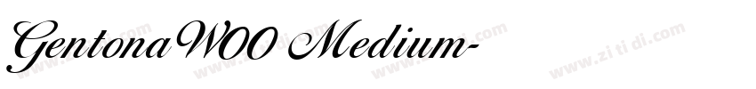 GentonaW00 Medium字体转换